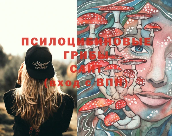 скорость Заволжье