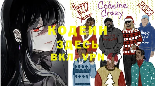 шишки Заволжск