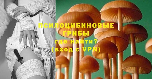 шишки Заволжск
