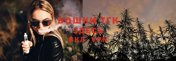 шишки Заволжск