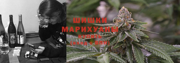 шишки Заволжск