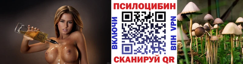 Псилоцибиновые грибы GOLDEN TEACHER  Купить где  Заречный 